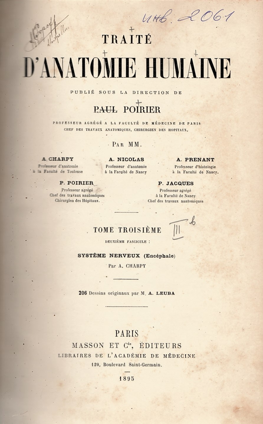  Traite d'anatomie humaine, tome 3b