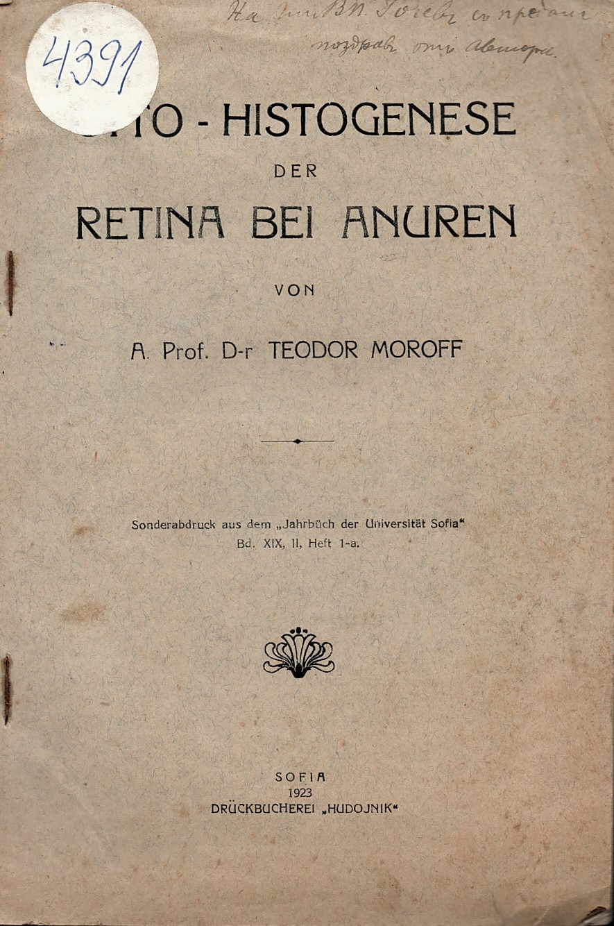  Cito – histogenese der Retina bei anuren