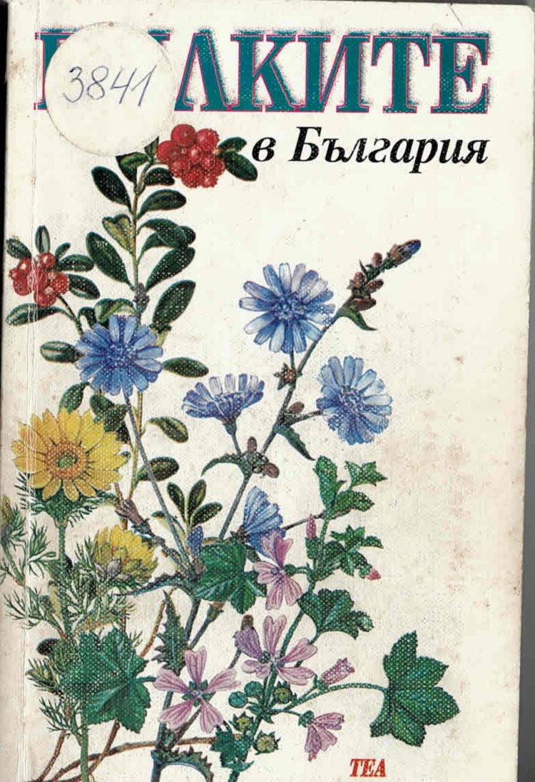  Билките в България