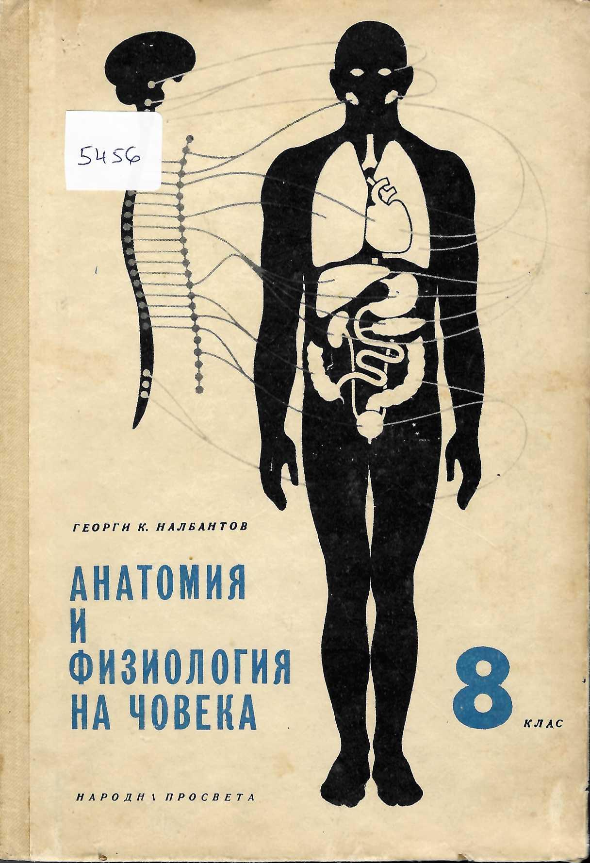   Анатомия и физиология на човека